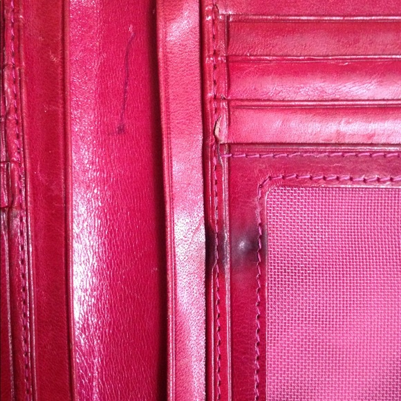 Vera Pelle - Picture 6 of 8